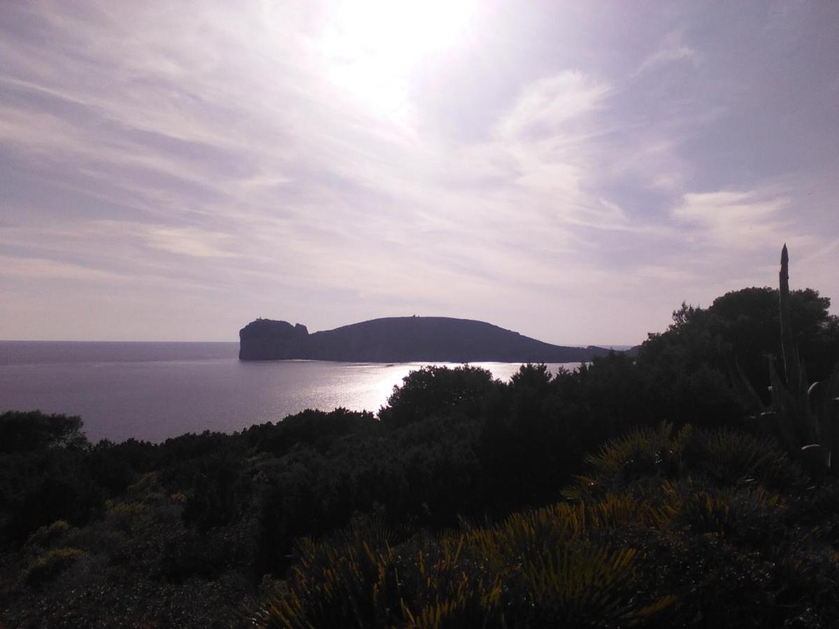 Giramondo Sardegna Affittacamere อาลเกโร ภายนอก รูปภาพ
