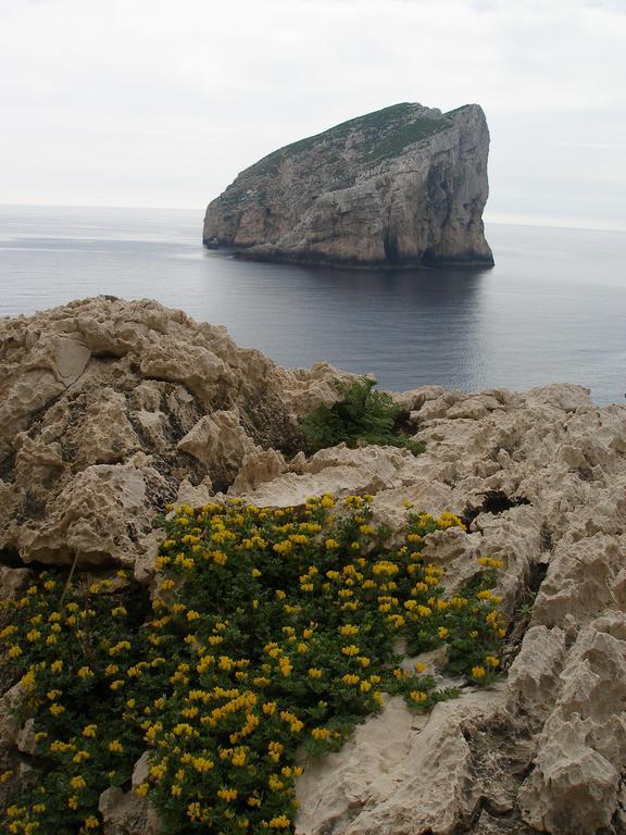 Giramondo Sardegna Affittacamere อาลเกโร ภายนอก รูปภาพ